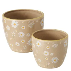 Ceramiczny Zestaw Donic Honey Beżowy z Stokrotkami