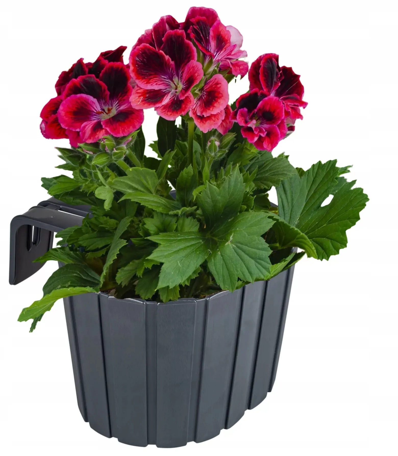 Doniczka balkonowa Prosperplast Boardee antracyt 2,2l