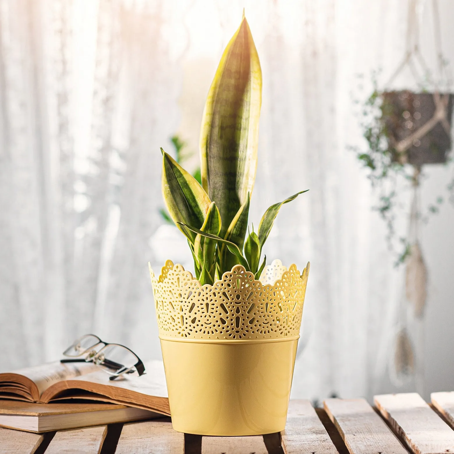 Doniczka Donica Na Kwiaty Osłonka 14,5cm Kolory