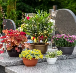 Doniczka Osłonka Donica Na Kwiaty 20cm Kolory Misa