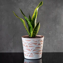 Doniczka Osłonka Wkład Donica Kolory Beż 17cm