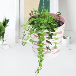 Doniczka Osłonka Wkład Donica Kolory Różowa 19cm