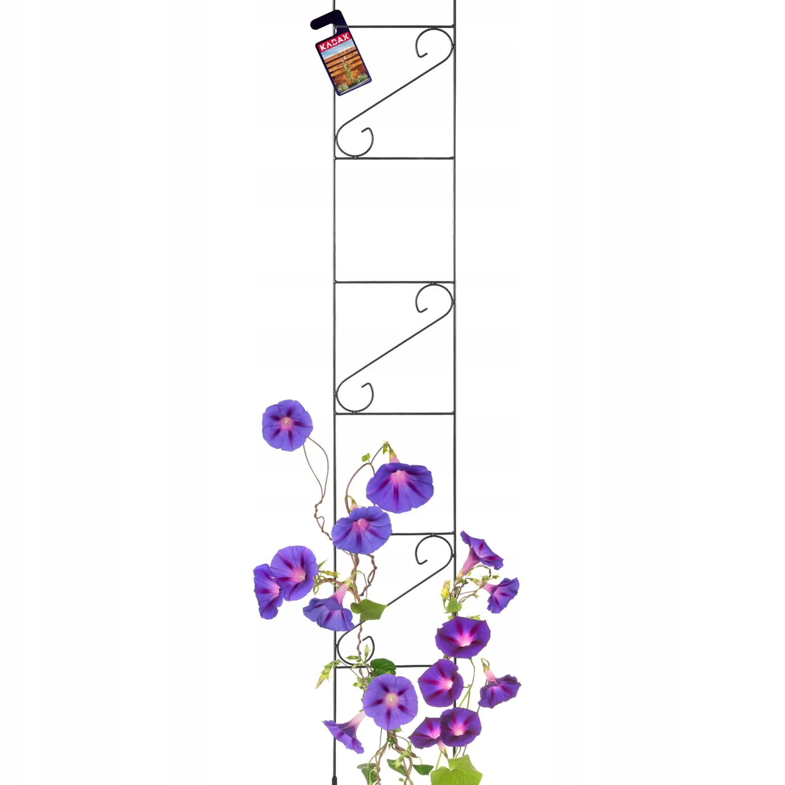 Drabina Podpora Girlanda Ogrodowa Na Kwiaty 210cm