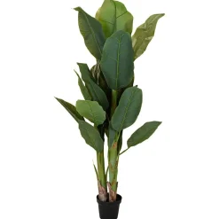 Duży bananowiec w donicy 165 cm dekoracyjny zielony