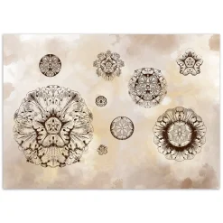 Feeby Fototapeta, Kształty kwiaty geometryczne 150x105