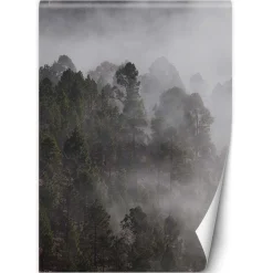 Feeby Fototapeta, Zielony las we mgle 100x140