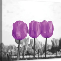Feeby Obraz na płótnie Fioletowe tulipany na łące 30x30