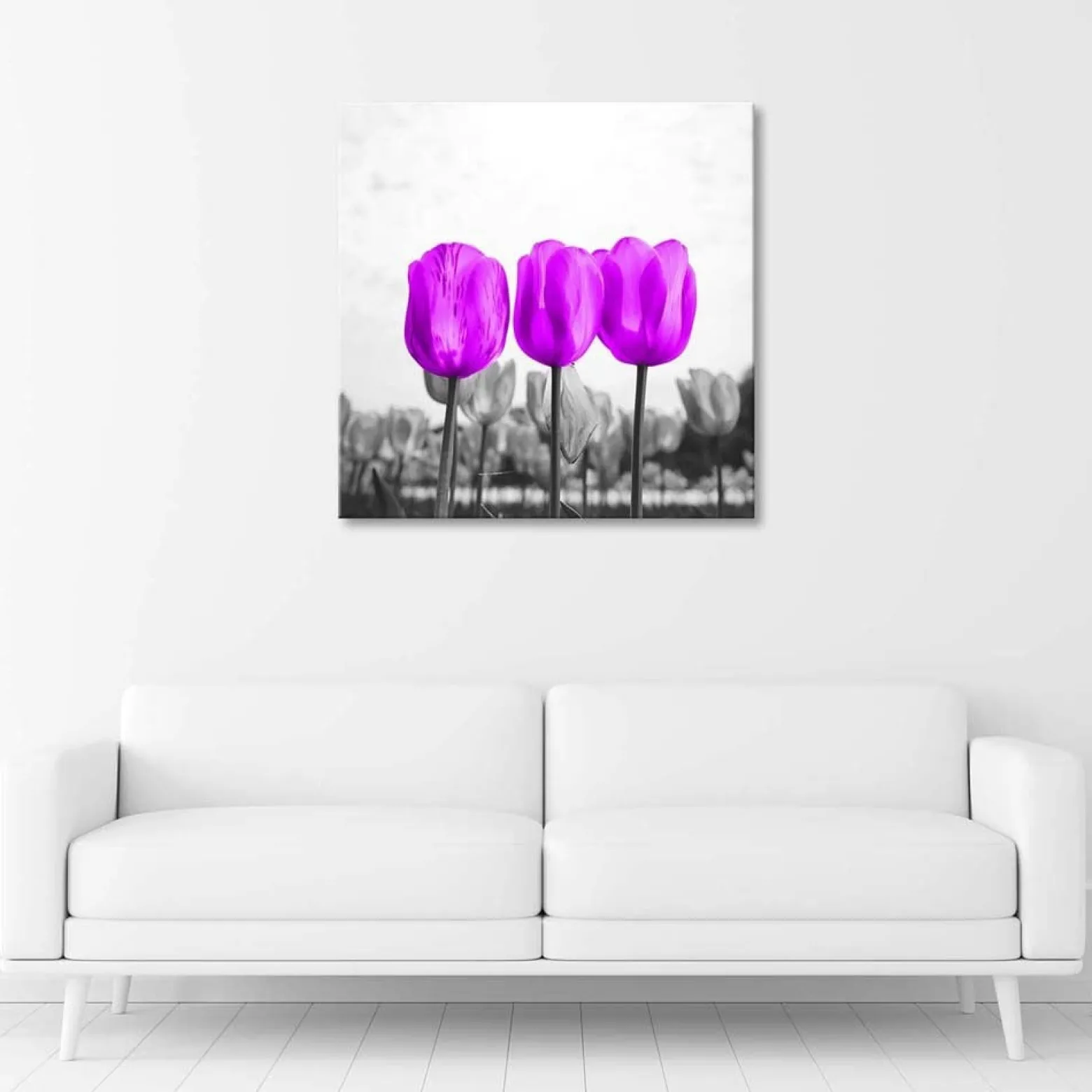 Feeby Obraz na płótnie Fioletowe tulipany na łące 30x30