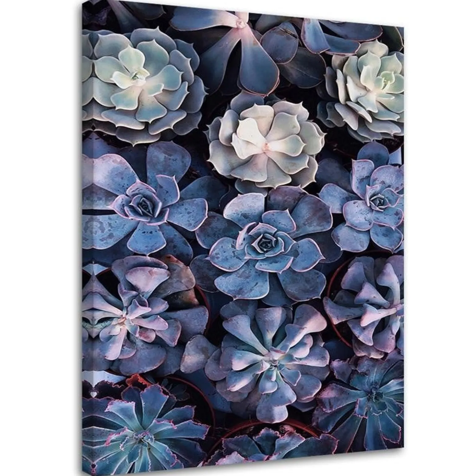 Feeby Obraz na płótnie, Shabby Chic kwiaty natura 40x60