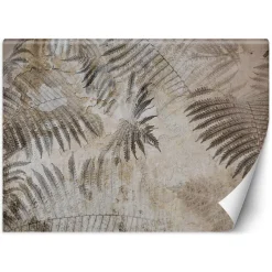 Feeby Fototapeta, Beton Paproć Liście Szary 150x105