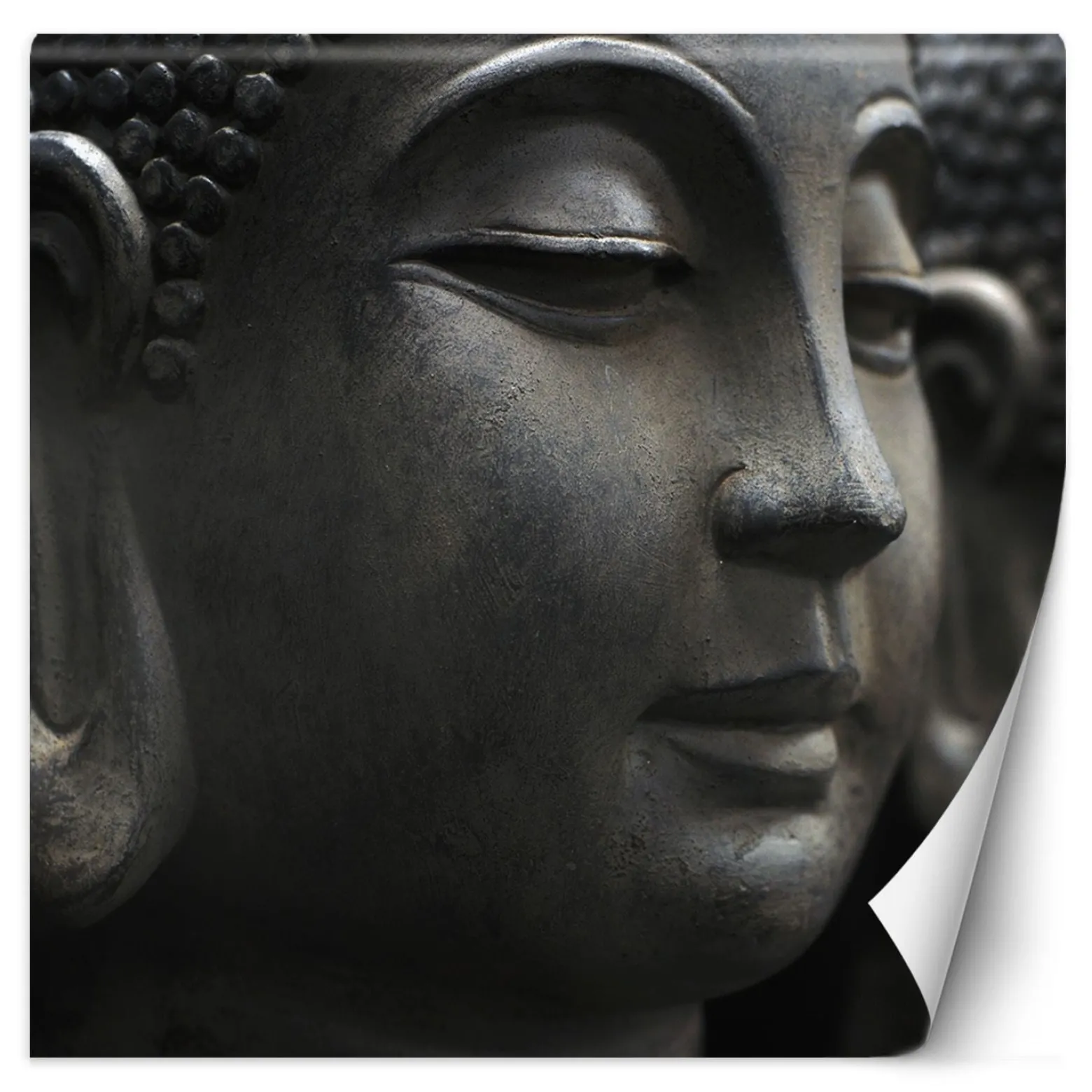 Feeby Fototapeta, Budda posąg zen spa 100x100