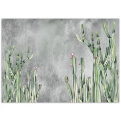Feeby Fototapeta, Kaktus rośliny pustynia 150x105