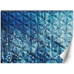 Feeby Fototapeta, Krople rosy na dmuchawcu 150x105