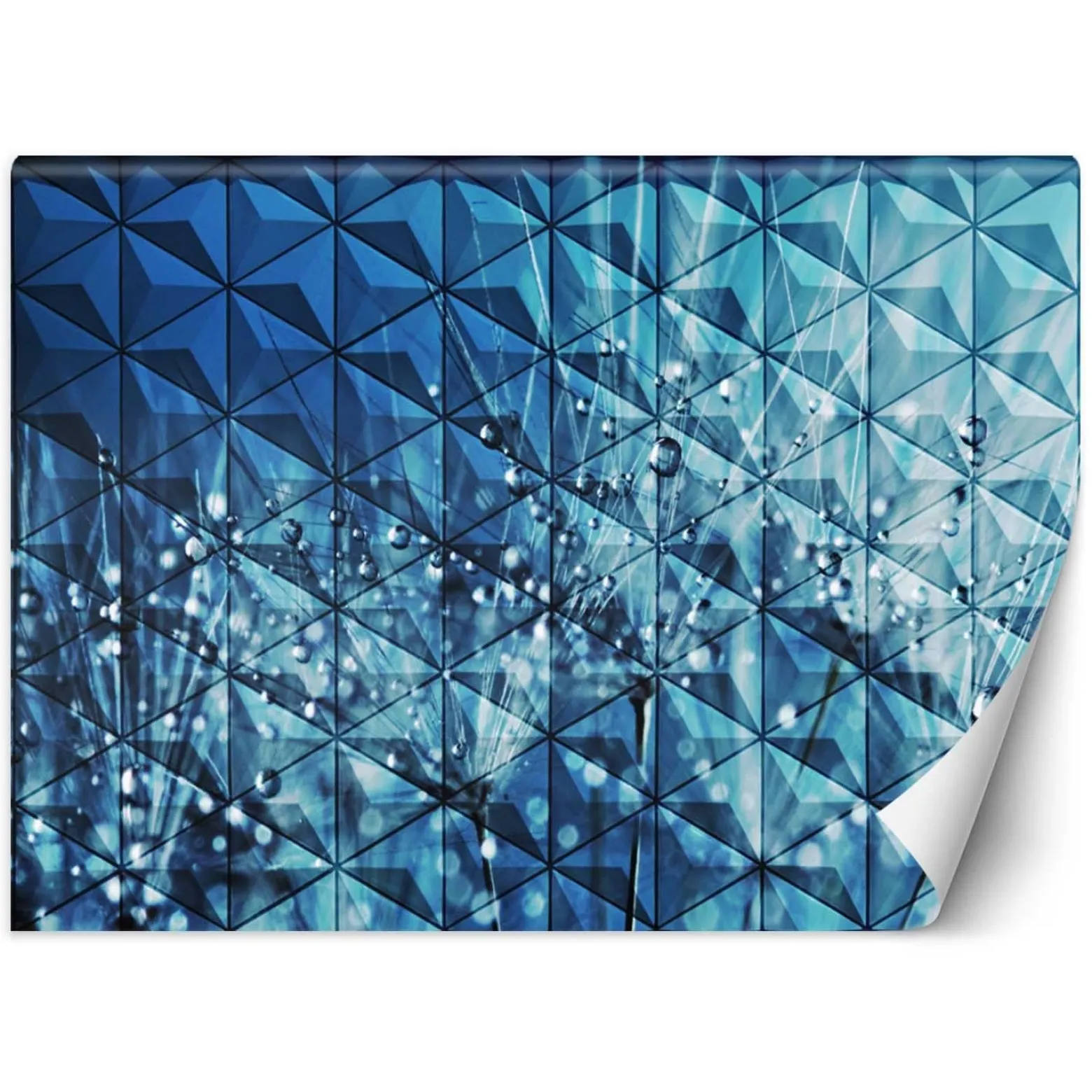 Feeby Fototapeta, Krople rosy na dmuchawcu 150x105