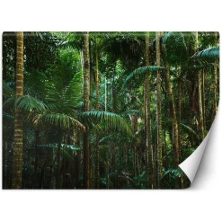 Feeby Fototapeta, Las tropikalny natura 150x105
