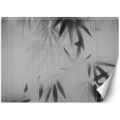 Feeby Fototapeta, Liście we mgle abstrakcja 150x105