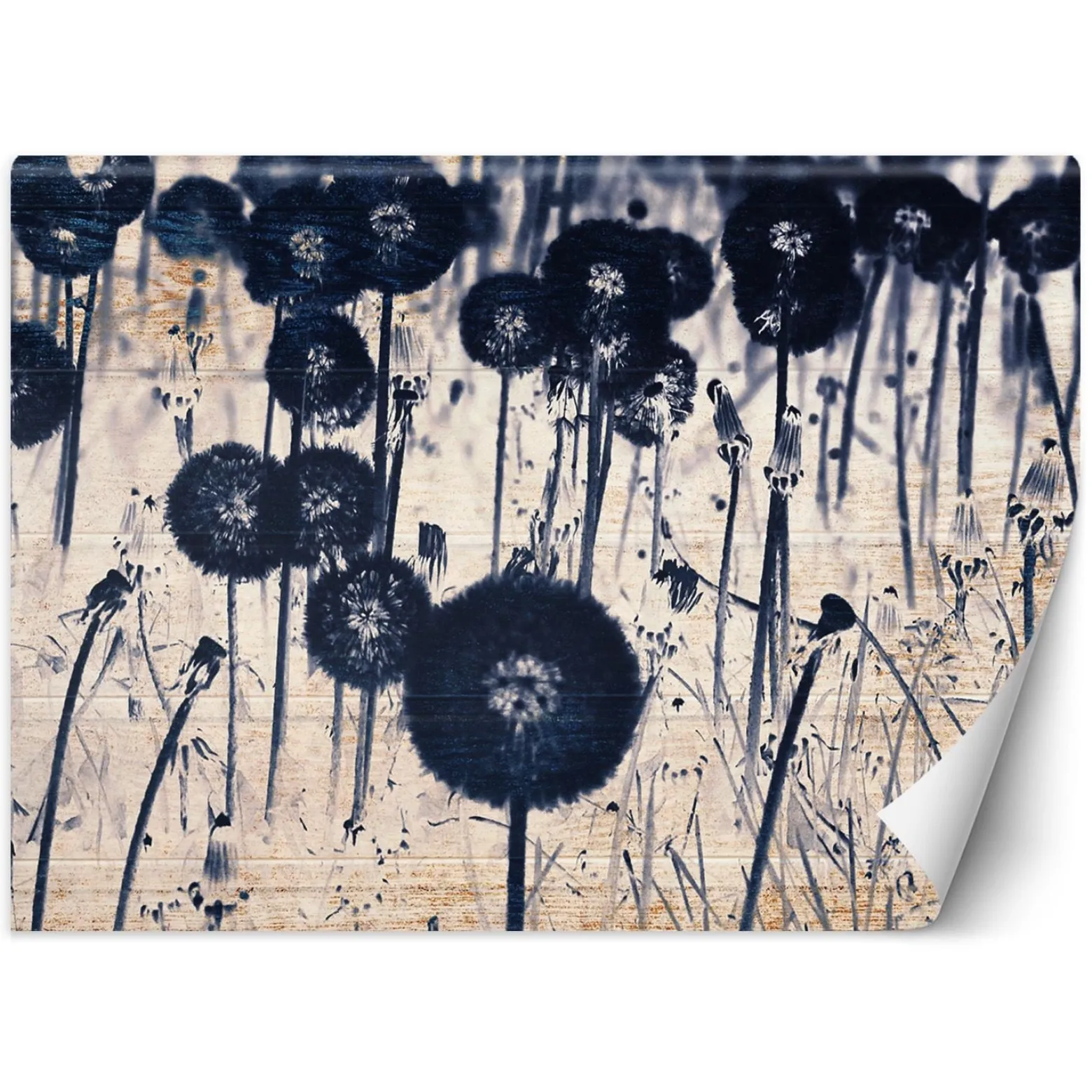 Feeby Fototapeta Monochromatyczne dmuchawce na deskach