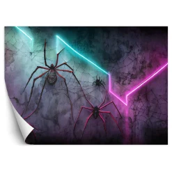 Feeby Fototapeta Pająk Neon Abstrakcja