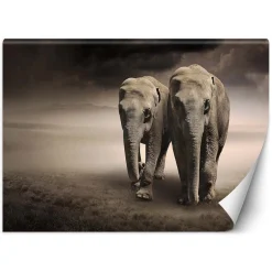Feeby Fototapeta, Para słoni afryka 150x105