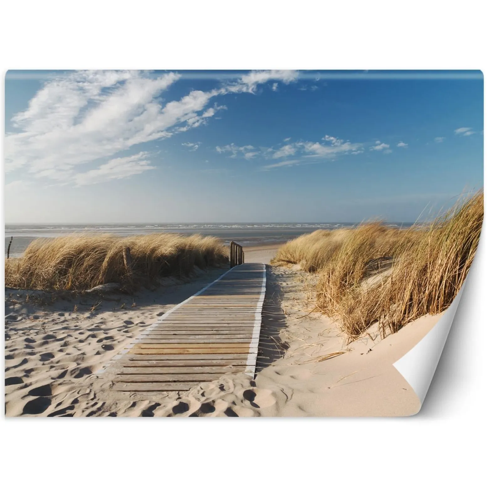 Feeby Fototapeta, Plaża morze wydmy 254x184