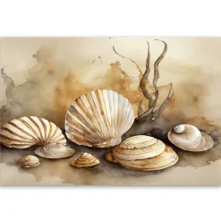 Feeby Obraz, marynistyczny muszle akryl 60x40