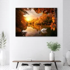 Feeby Obraz na płótnie, Łabędź na stawie jesień 60x40