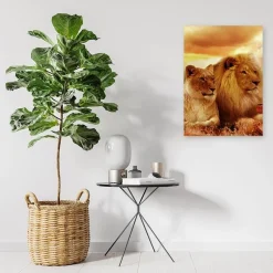 Feeby Obraz na płótnie, Król lew i lwica 40x60