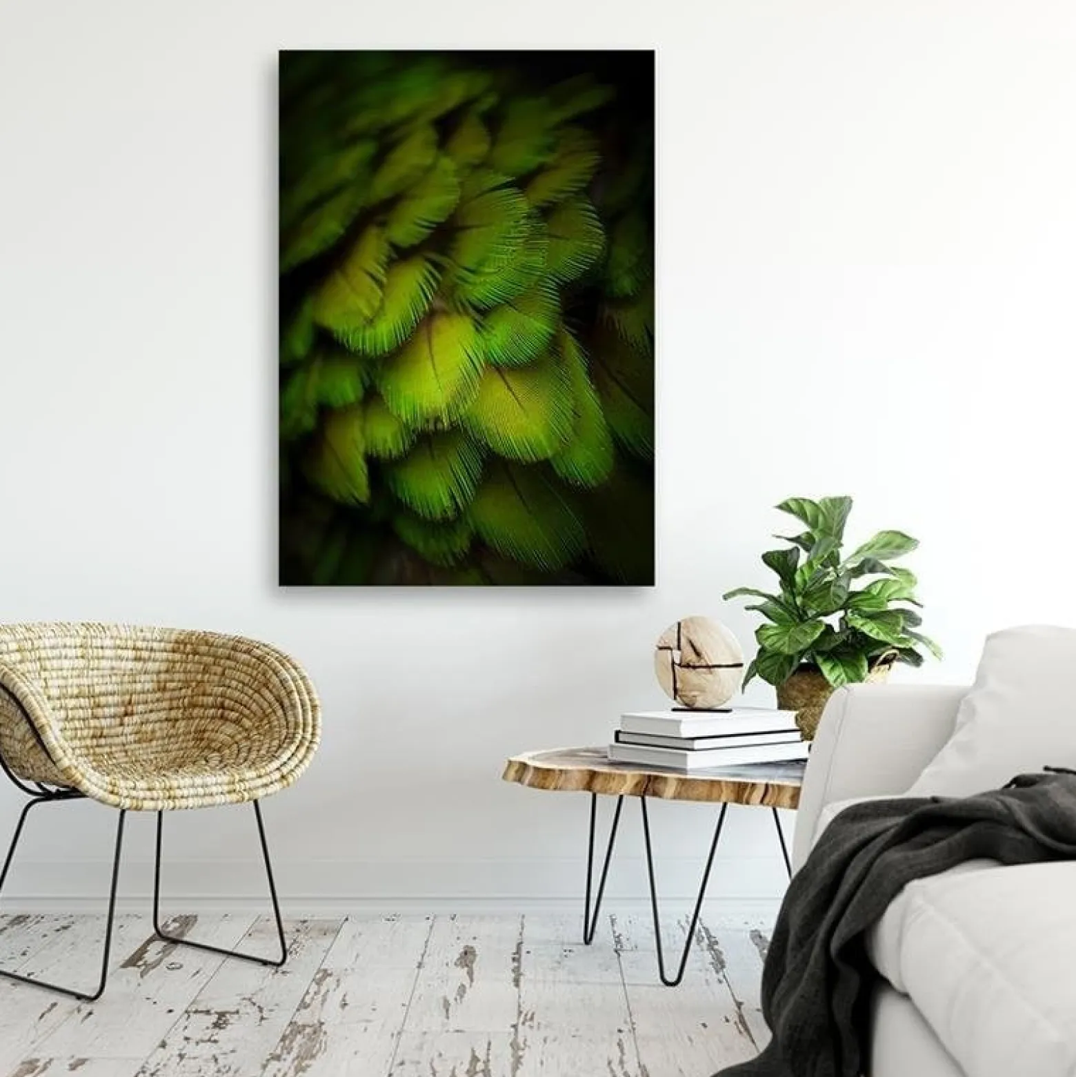 Feeby Obraz na płótnie Ozdobne zielone pióra 40x60