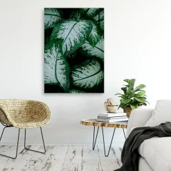 Feeby Obraz na płótnie, Tropikalne liście natura 40x60