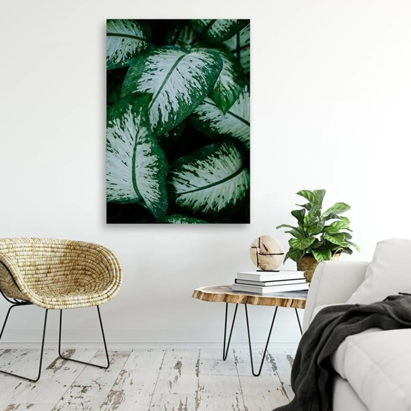 Feeby Obraz na płótnie, Tropikalne liście natura 40x60
