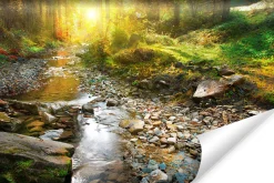 Fototapeta WODOSPAD Słońce Las Efekt 3D 90x60cm
