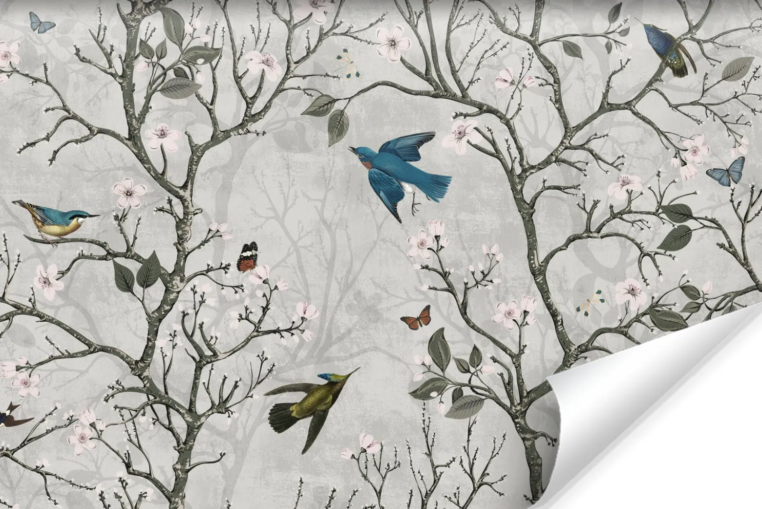 Fototapeta Barwne ptaki pośród drzew 90x60cm