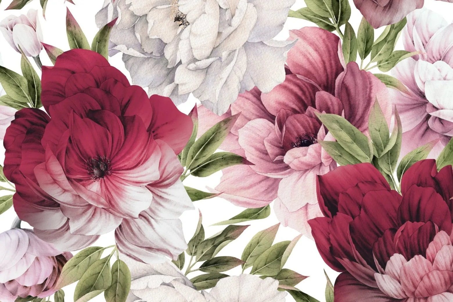 Fototapeta Delikatne Różowe PEONIE Kwiaty 90x60cm