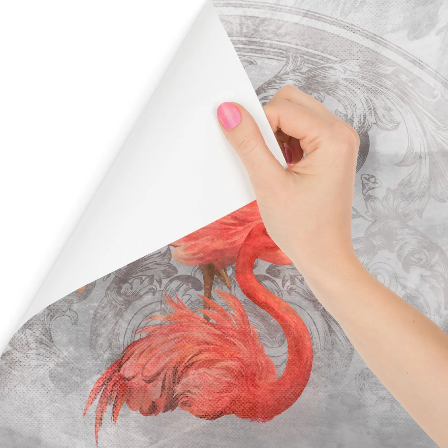 Fototapeta Do Sypialni Flamingi Na Betonie Mural 90x60cm