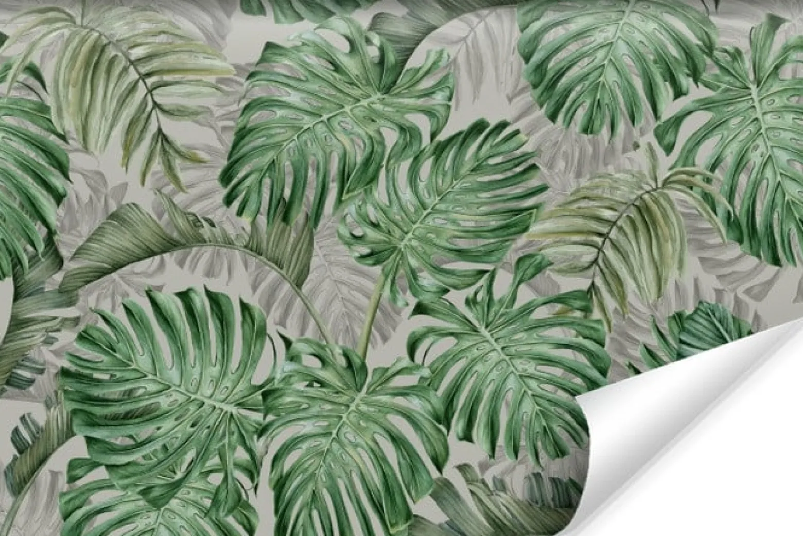 Fototapeta Do Sypialni Liście MONSTERA 3D 90x60cm
