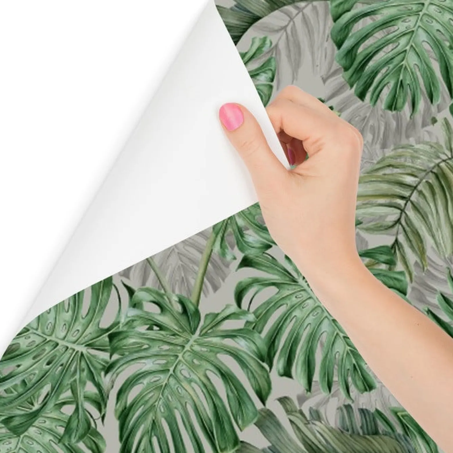 Fototapeta Do Sypialni Liście MONSTERA 3D 90x60cm