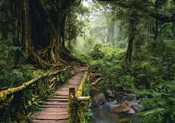 Fototapeta Drzewa 3D Droga W Lesie Natura Na Ścianę Sypialnia Salon 250X175