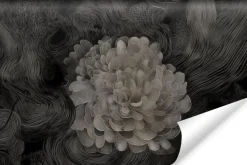 Fototapeta Monochromatyczna Kwiatowa Abstrakcja 360x240cm