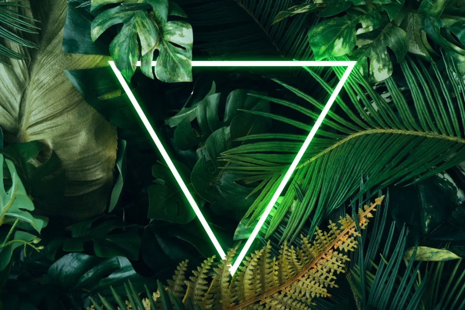 Fototapeta Neonowy TRÓJKĄT Urban Jungle 3D 90x60cm