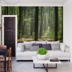 Fototapeta Wschód Słońca Pośród Drzew We Mgle 90x60cm