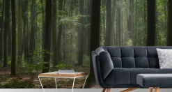 Fototapeta Wschód Słońca Pośród Drzew We Mgle 90x60cm