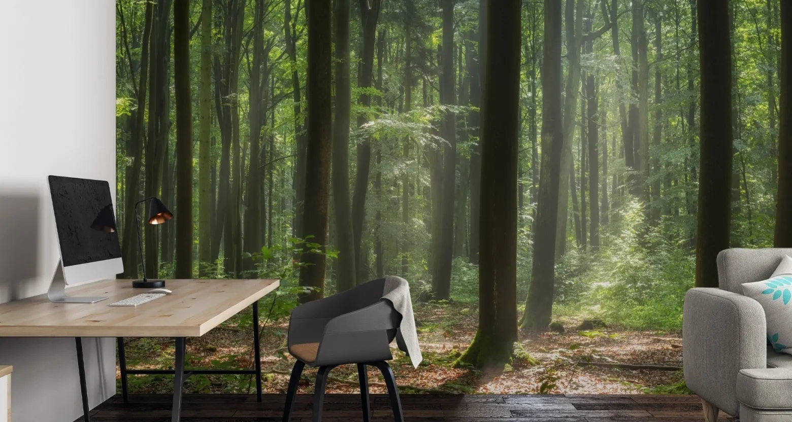Fototapeta Wschód Słońca Pośród Drzew We Mgle 90x60cm