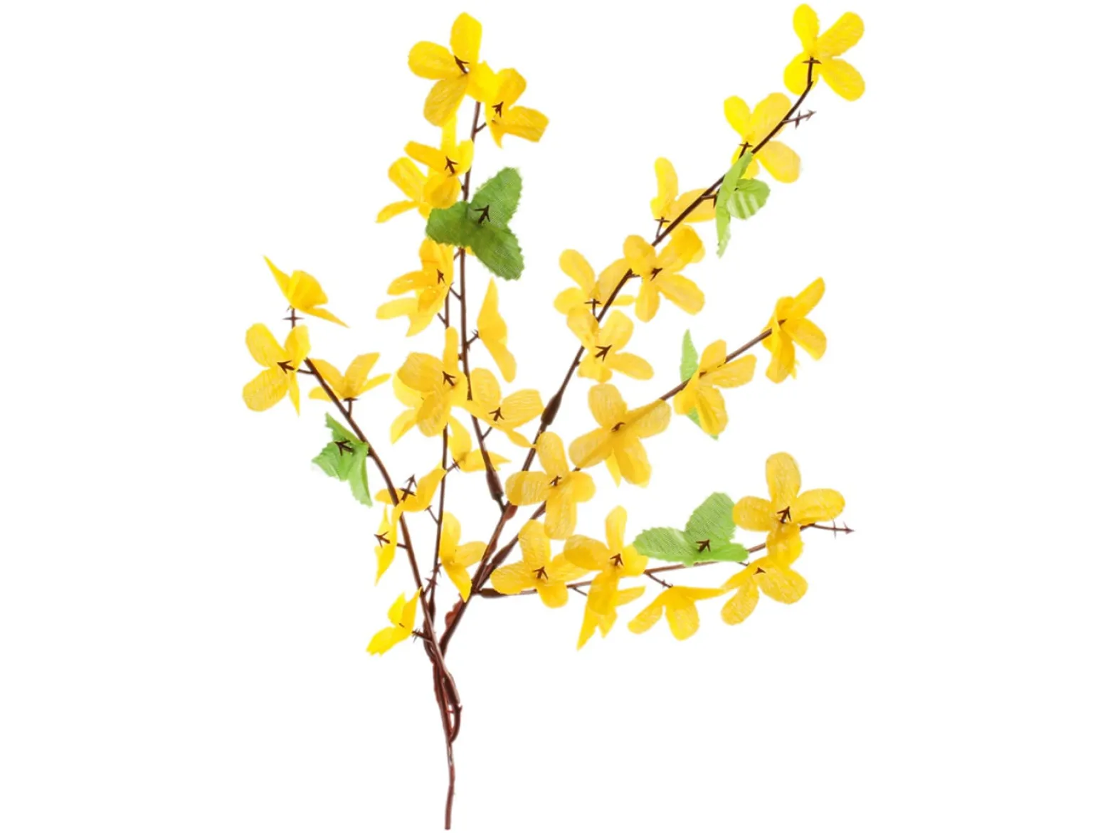 Gałązka ozdobna Forsycja 50 cm żółta