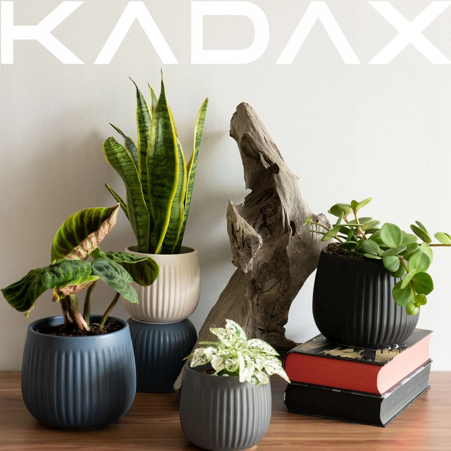 Kadax Doniczka Ceramiczna 14cm Osłonka Szara