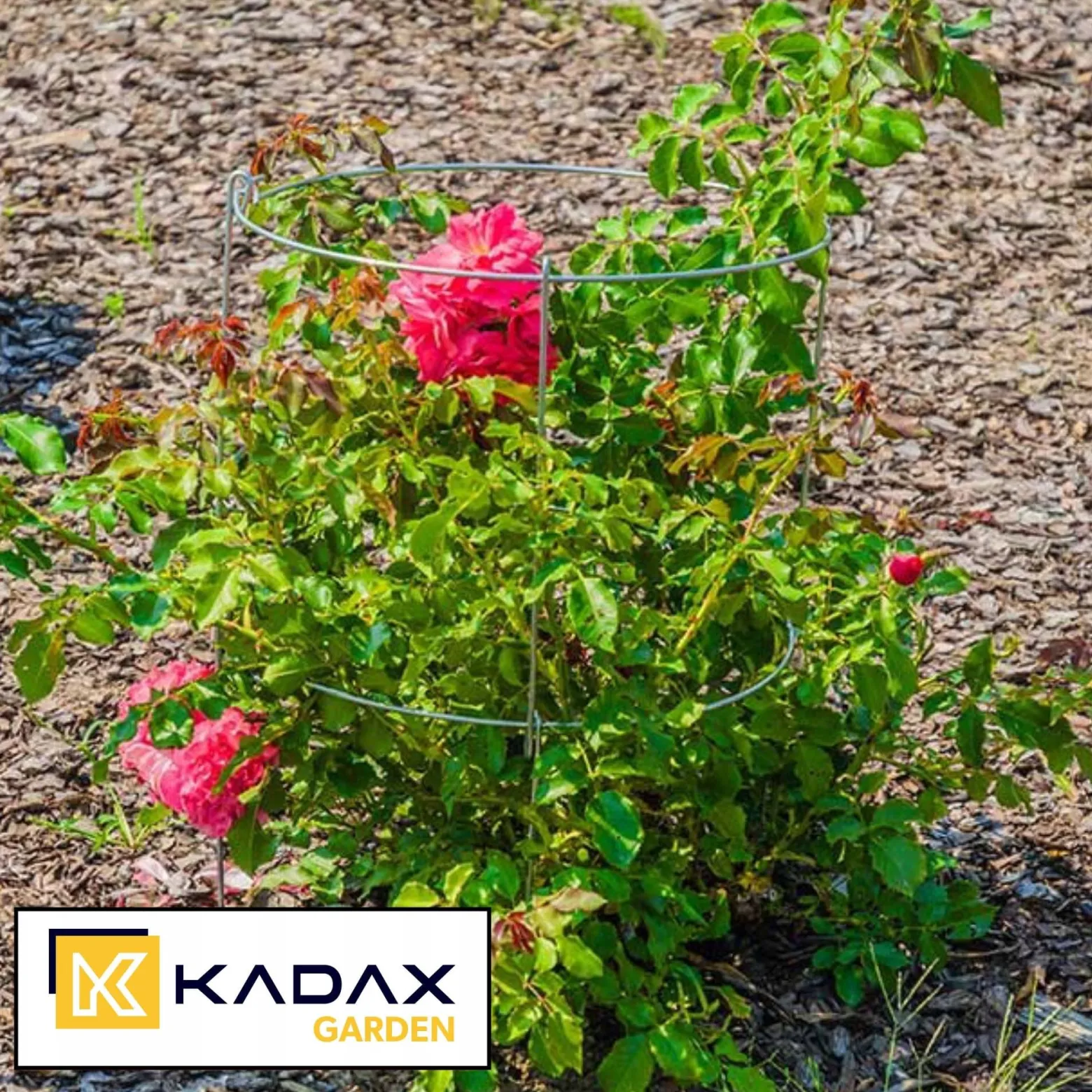 Kadax Podpora Ogrodowa 60cm Do Roślin Obejma 3szt