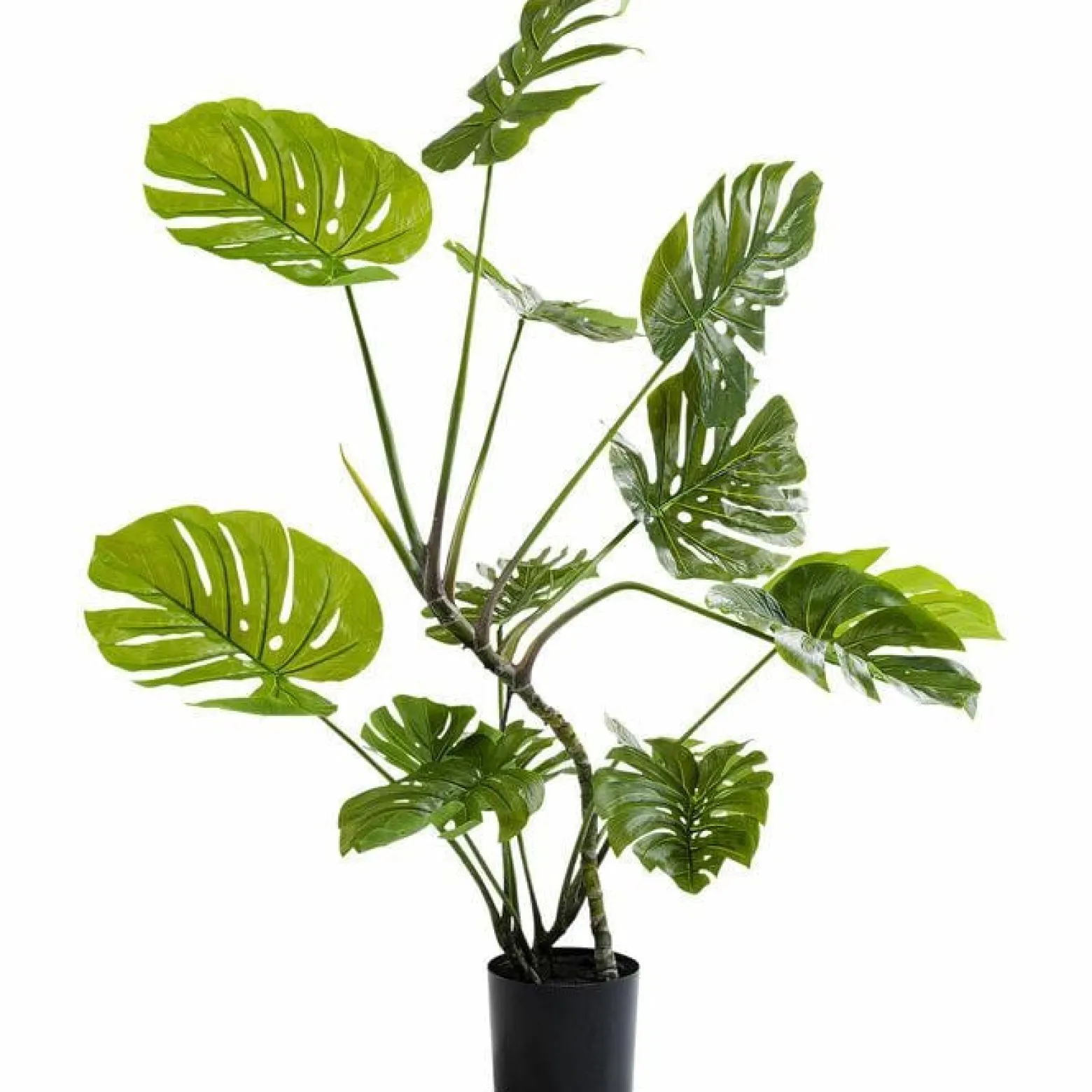 KARE roślina dekoracyjna MONSTERA 110 cm