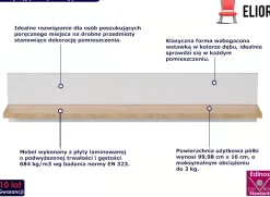 Klasyczna półka ścienna na książki biały + hikora - Xyreon