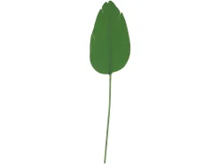 Liść pojedynczy 100 cm