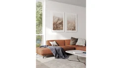 Obraz w ramie Pampas Grass Of The Wind No. 4 53x73 cm