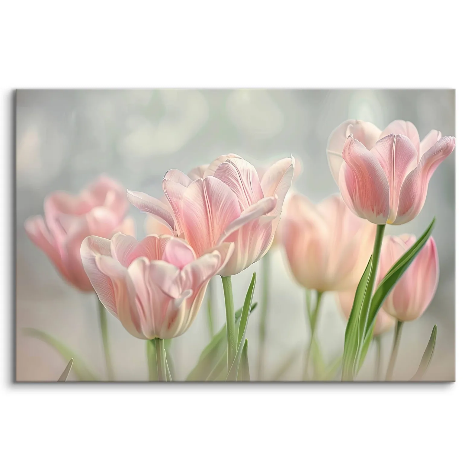 Obraz Barwne Tulipany 30x20cm